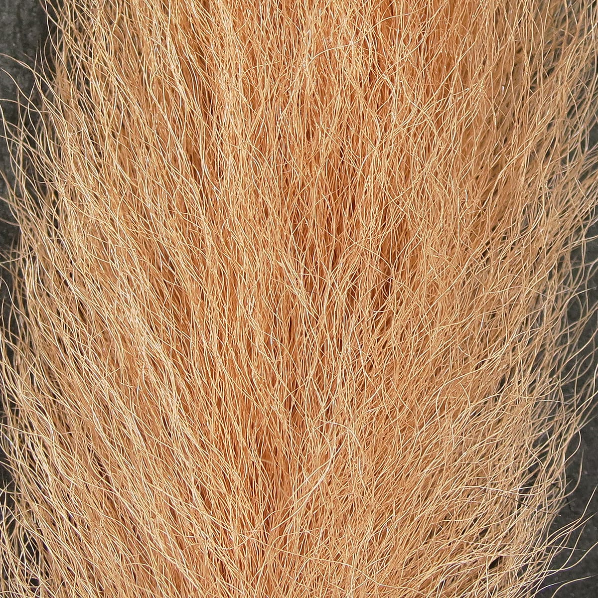 Natural tan calf tail hair bundle with long coarse fibers for fly tying material