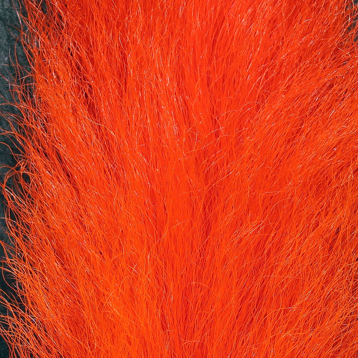 Fluorescent orange UV2 Hareline calf tail fur with long soft hairs for fly tying streamers