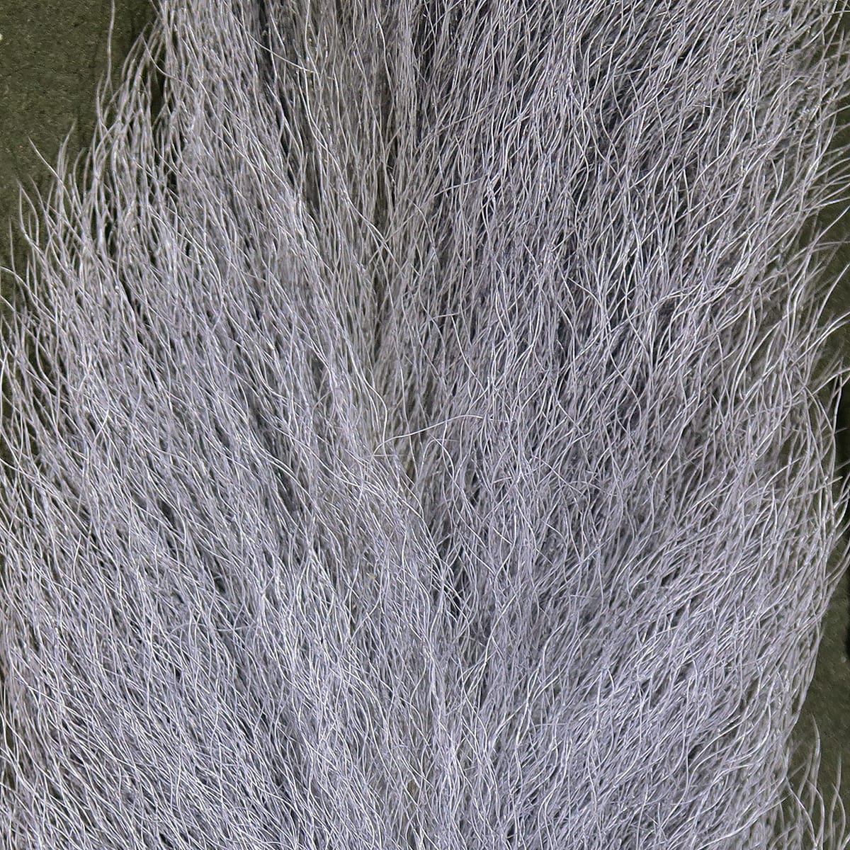Dove gray Hareline UV2 calf tail hair, long fine natural fur fibers for fly tying
