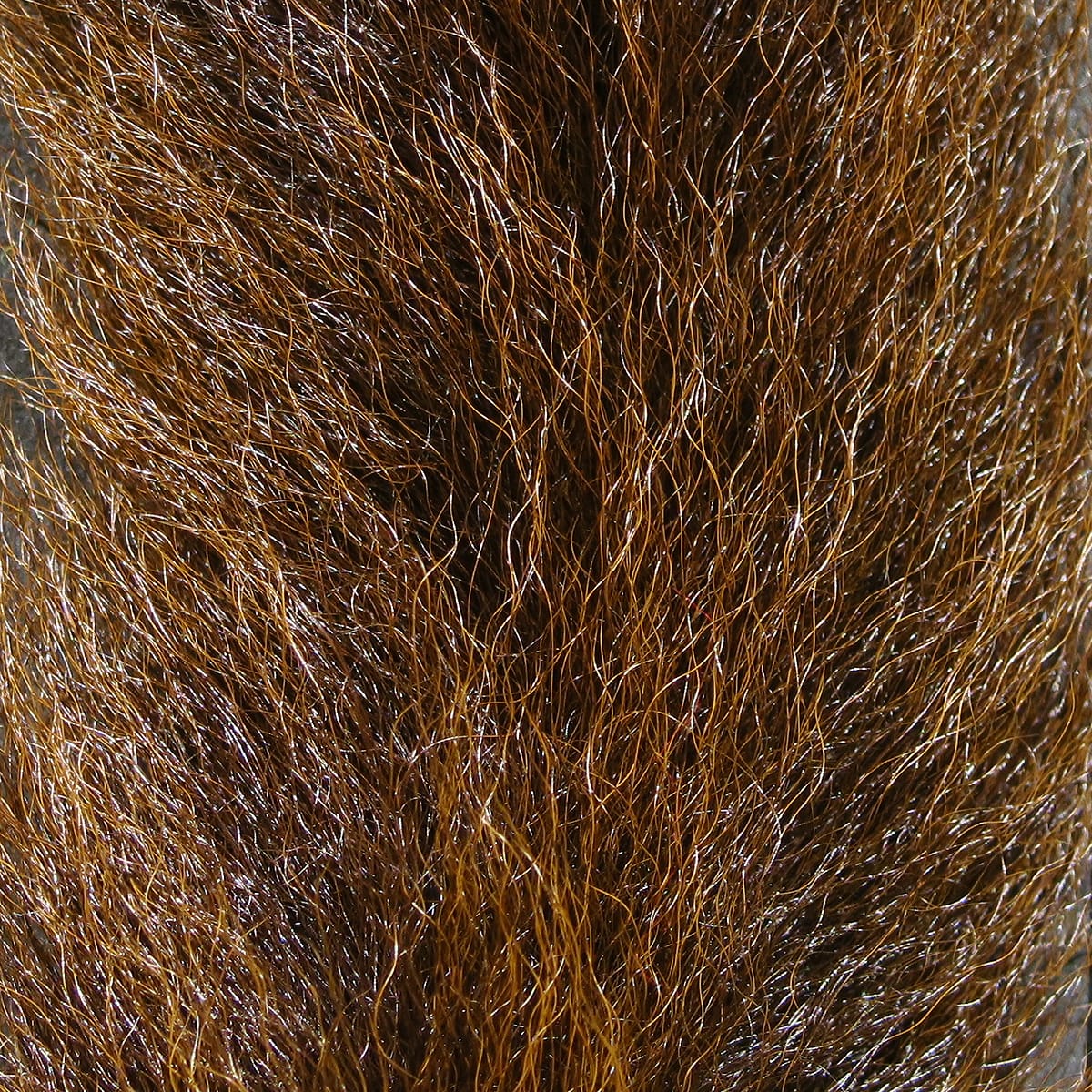 Hareline UV2 brown calf tail fur, glossy fine long hairs, ideal fly tying material
