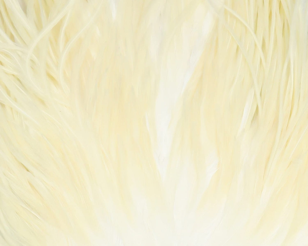 Pale cream Hareline UV2 flat wing saddle, long silky feathers with narrow hackle fibers for fly tying