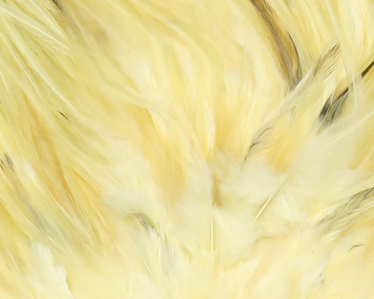 Pale yellow Hareline UV2 flat wing saddle feathers, soft glossy long quills and fluffy underfur for fly tying