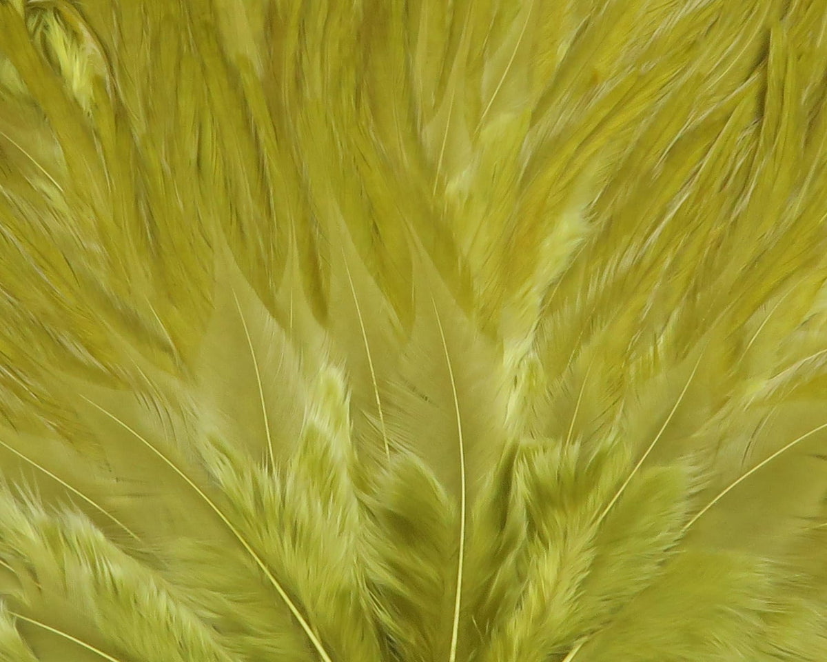 Chartreuse Hareline UV2 flat wing saddle feathers with long tapered barbs and soft flowing texture for fly tying