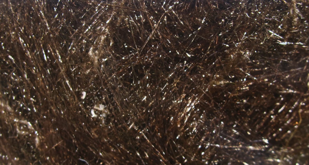 Hareline wire-free synthetic fox brush, dense glossy brown synthetic fibers with subtle flash for fly tying