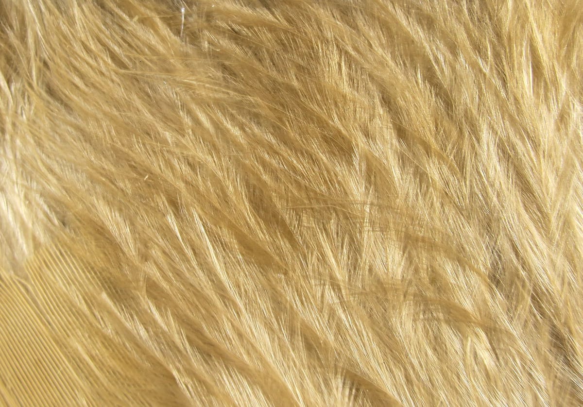 Tan Hareline Woolly Bugger marabou feathers with soft fluffy silky barbs, loose plume texture for fly tying.