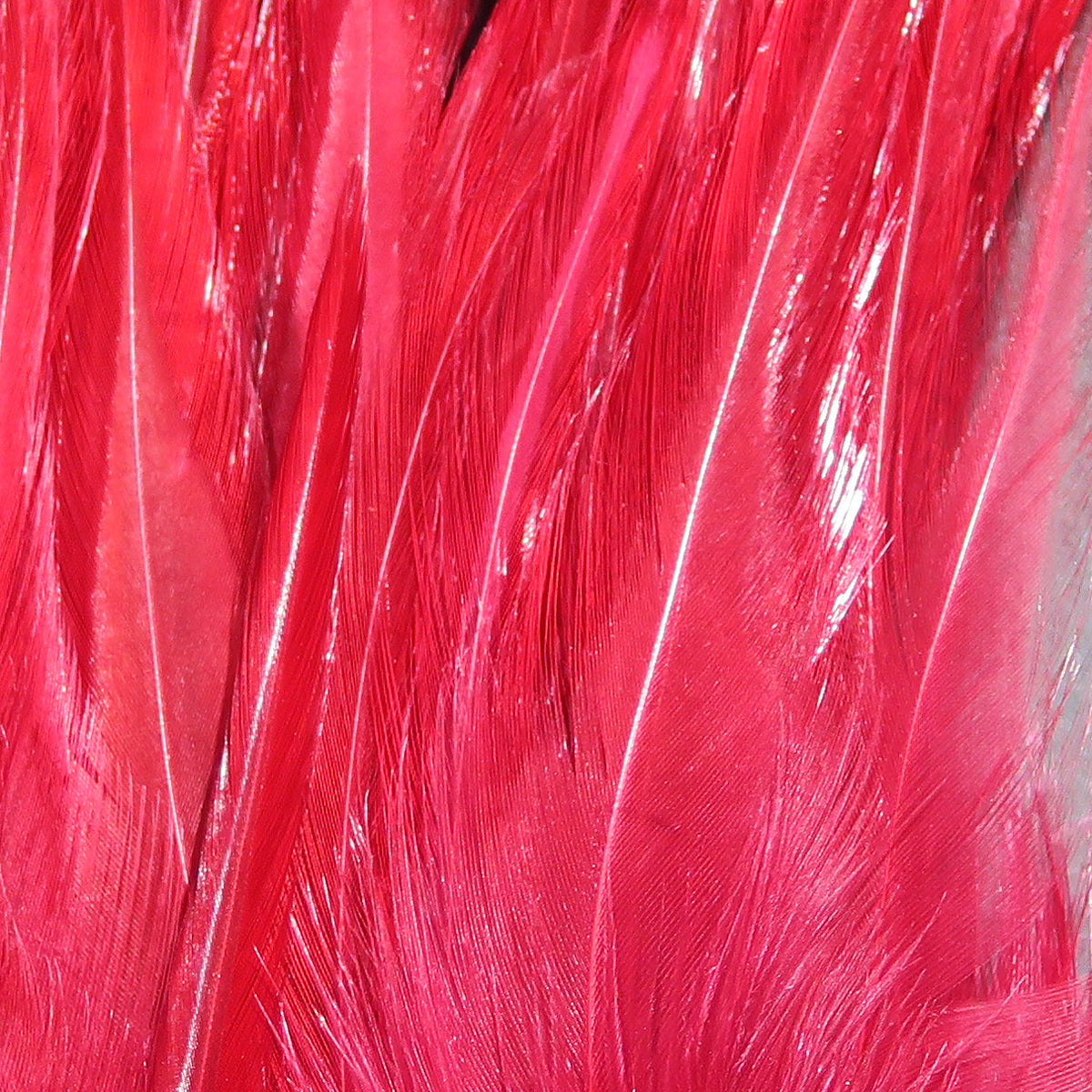 Hareline Woolly Bugger Saddle Hackle