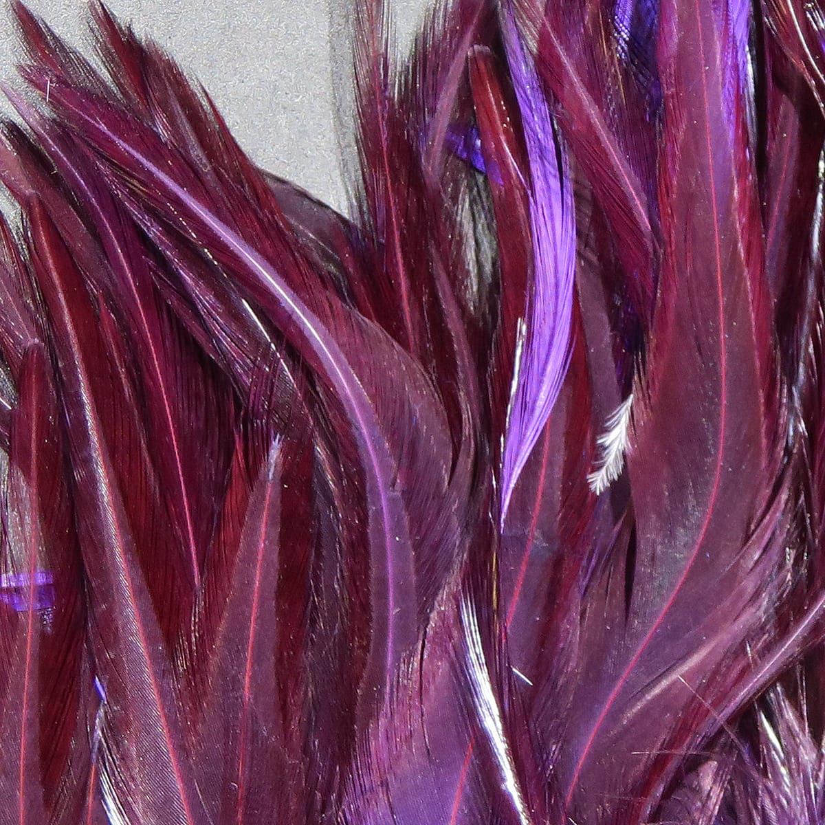 Hareline Woolly Bugger Saddle Hackle