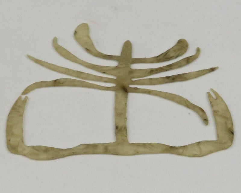 Olive-tan translucent synthetic crab bits for fly tying, flat segmented strips shaped like crab body and legs