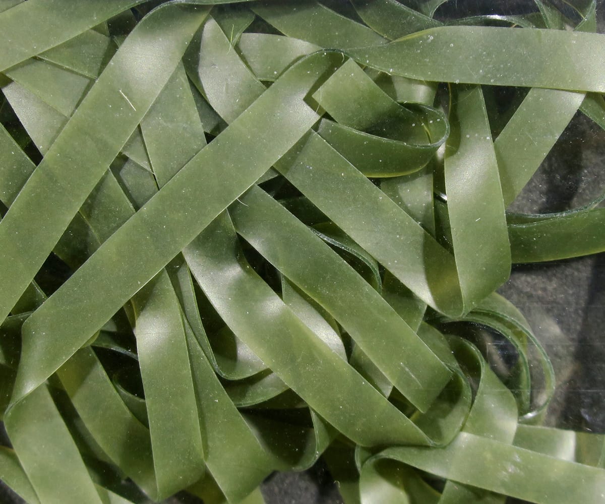 Olive green translucent rubber nymph skins strips, glossy flat ribbon-style fly tying material for nymph patterns