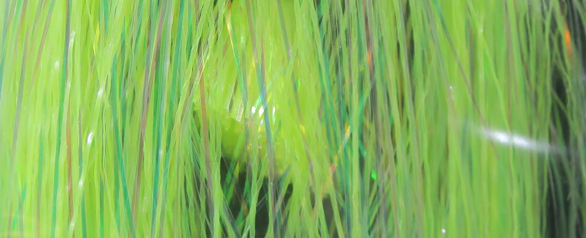Neon chartreuse Hedron Flashabou strands with pearlescent iridescent synthetic tinsel for fly tying
