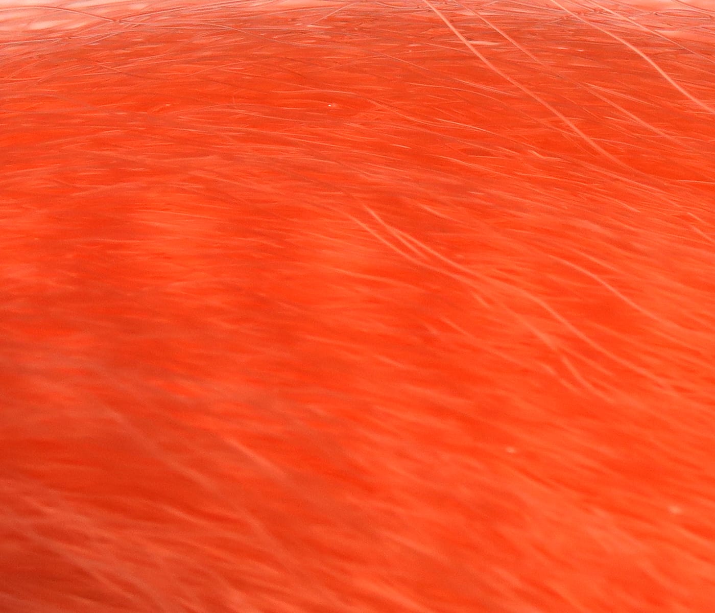 Bright orange Hedron Supreme Super Hair synthetic fibers for fly tying, long fine glossy strands with flowing texture