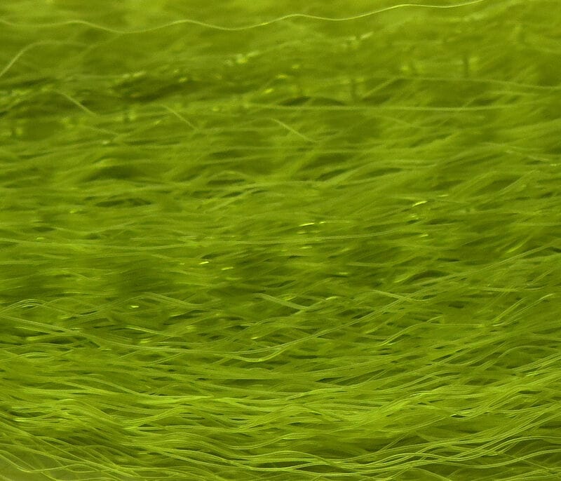 Chartreuse Hedron Supreme Super Hair synthetic fly tying fibers, glossy fine long strands for streamers and flies