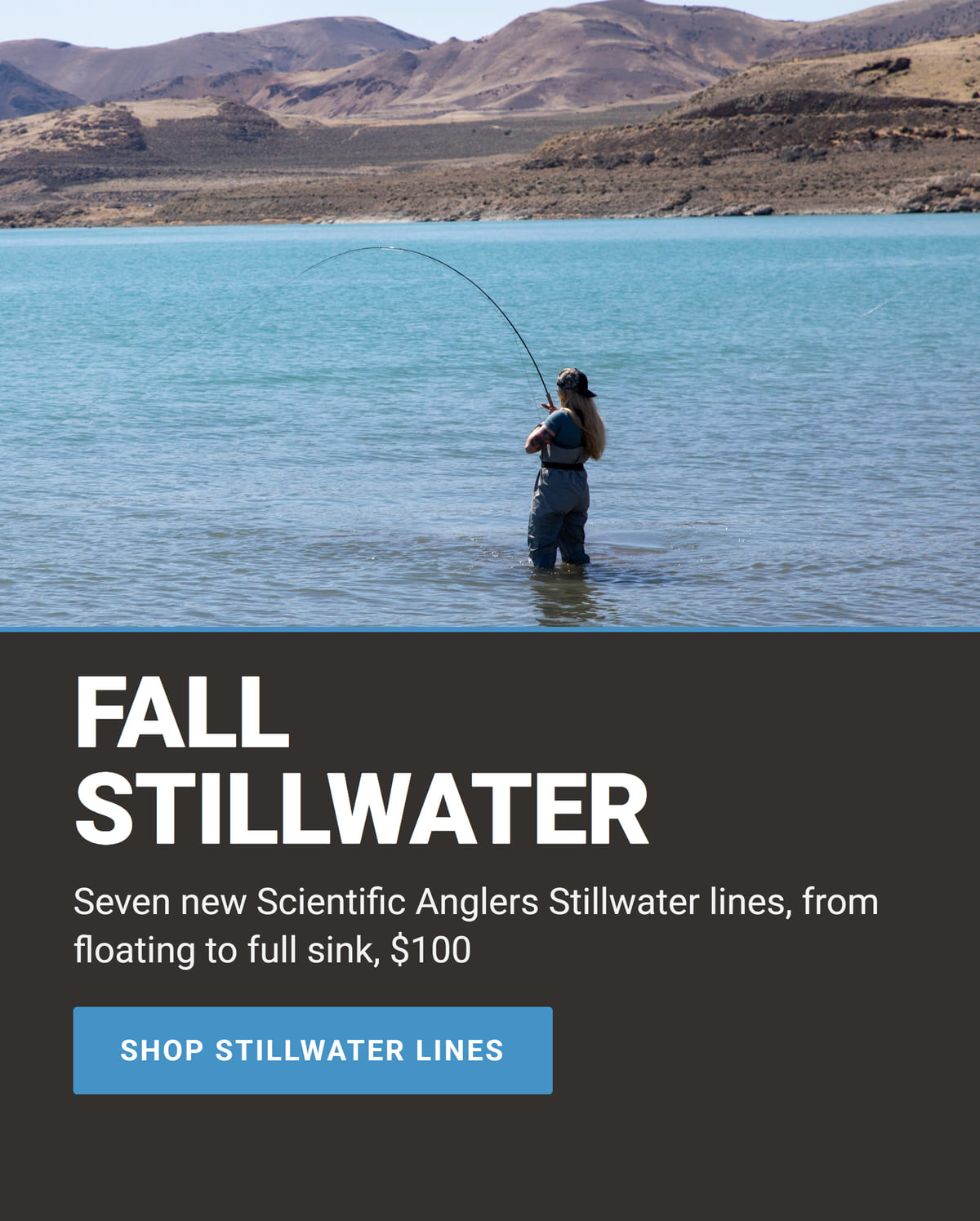 Fall Stillwater: seven new Scientific Anglers Stillwater fly lines, $100