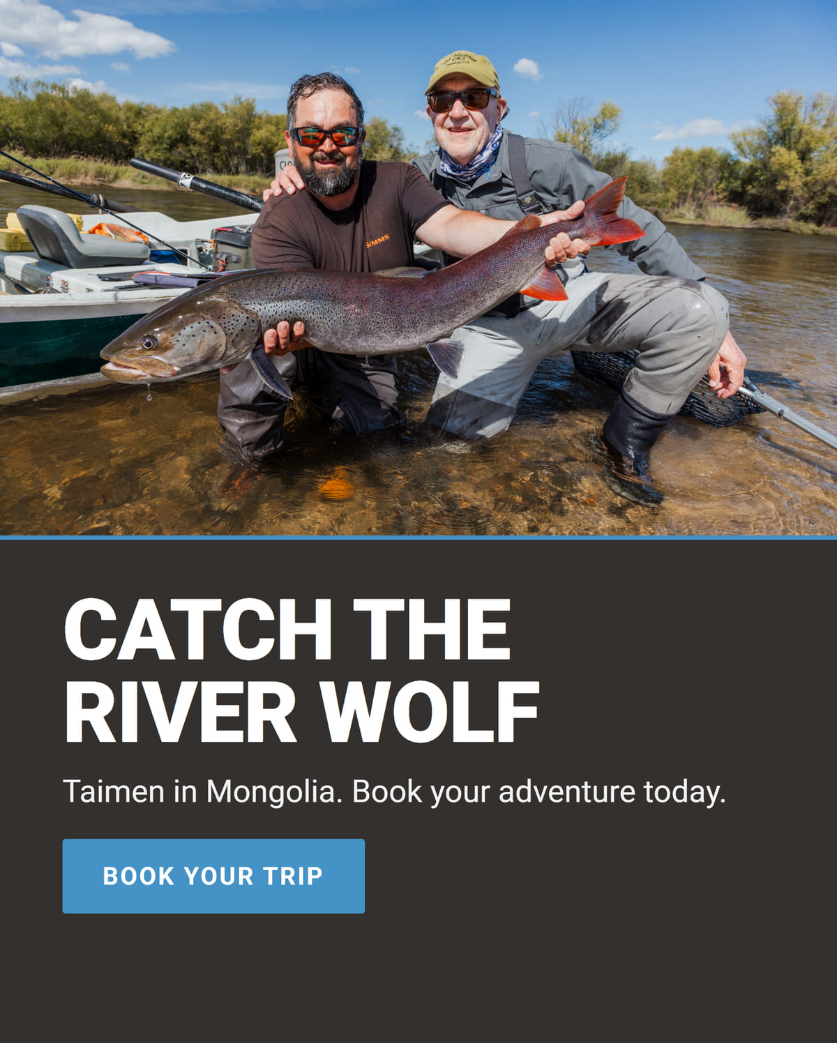Catch the river wolf: taimen in Mongolia