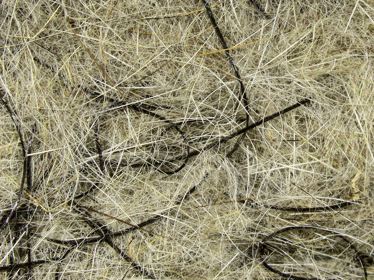Hareline Hare'E Wiggle Dub natural tan-olive hare fur dubbing with long black guard hairs