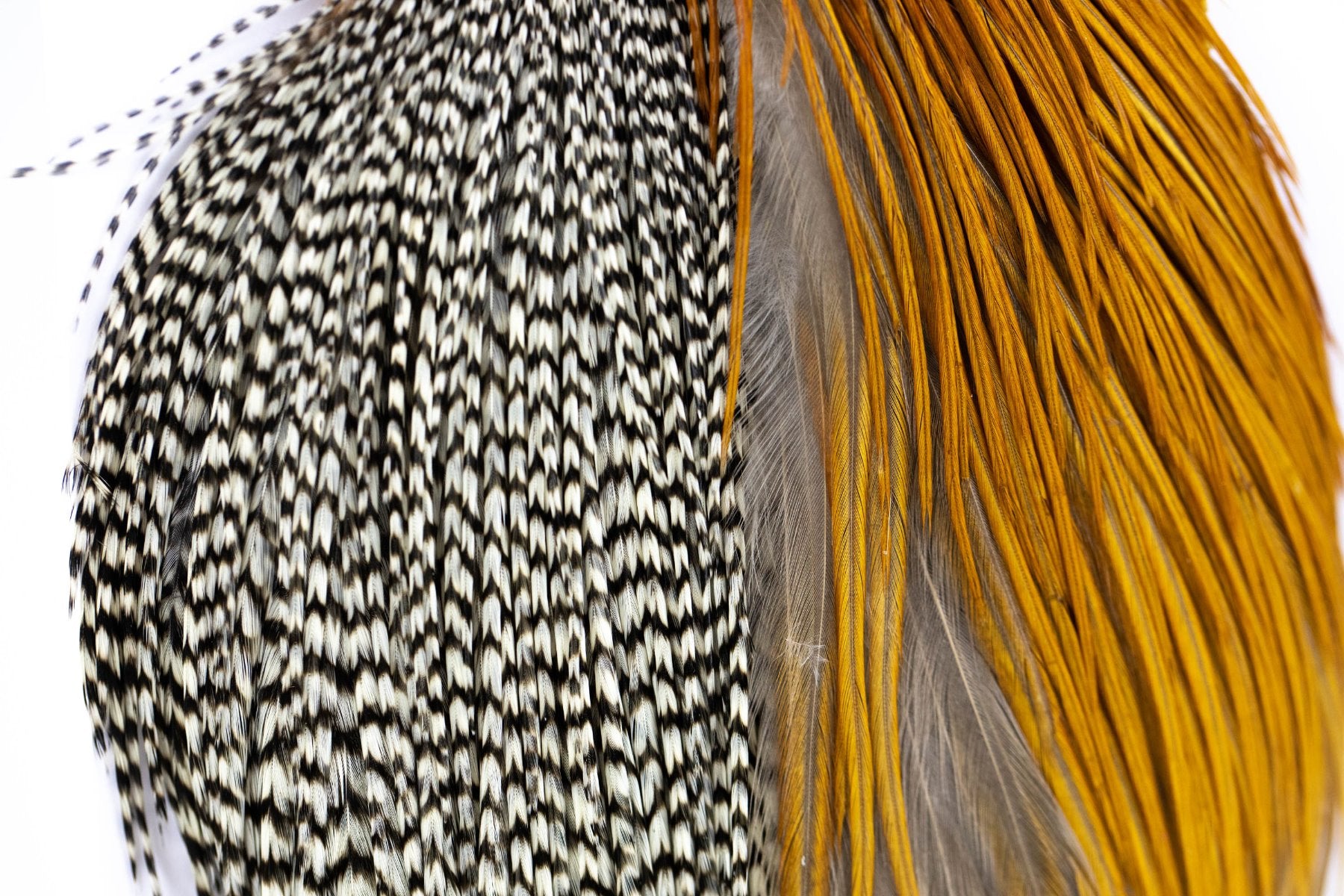 Whiting Intro Hackle Pack - Four 1/2 Cape - Assorted Colors