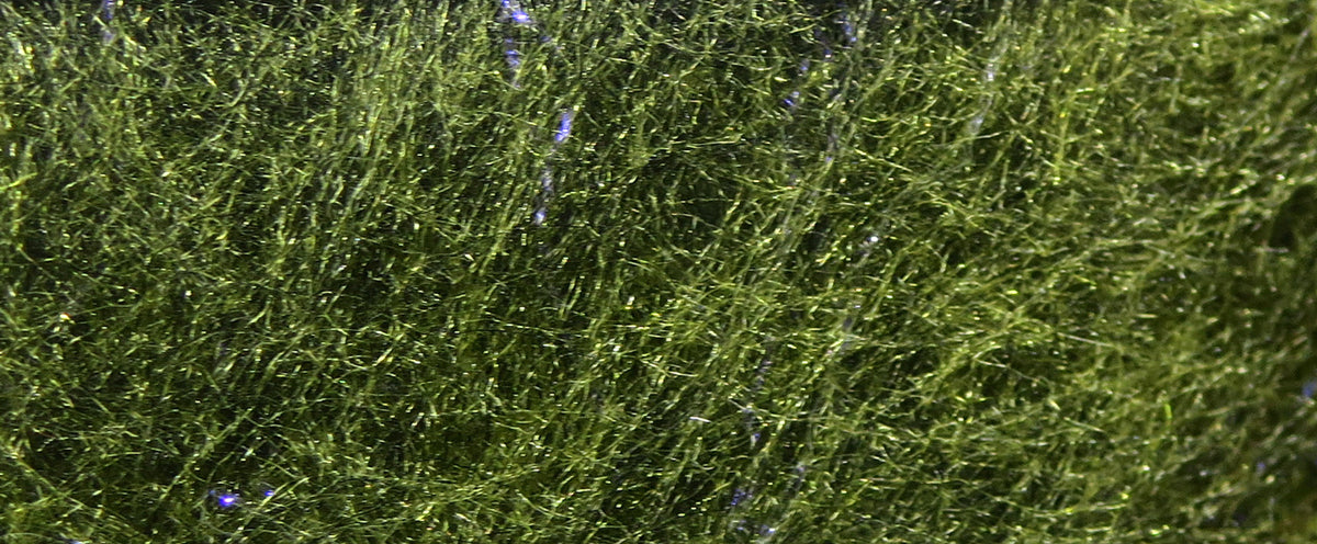 Olive green Jr. Bruiser synthetic dubbing fibers with fine sparkly flash strands for fly tying