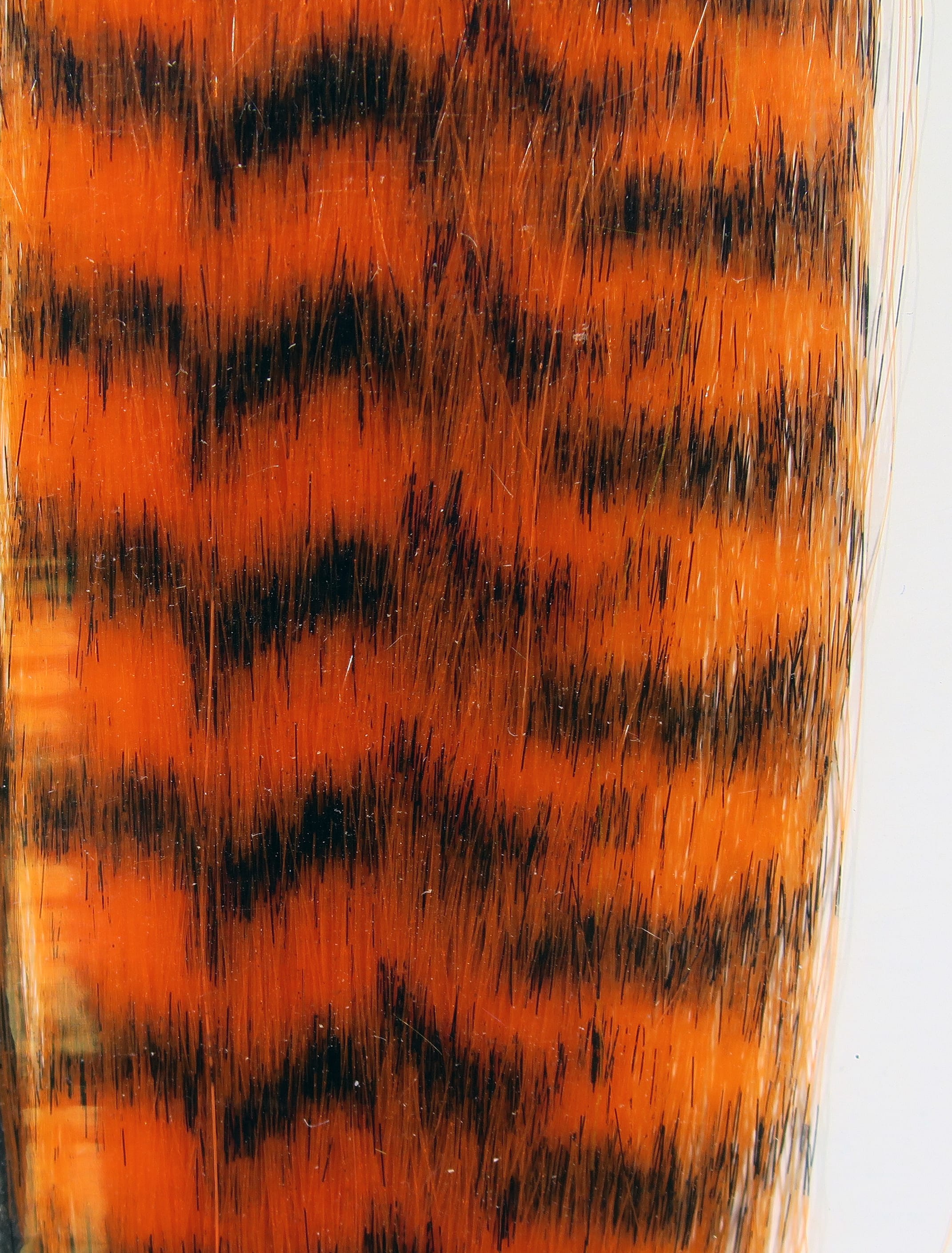Bright orange and black grizzly fibre for fly tying, fine synthetic hairs with tiger-striped pattern