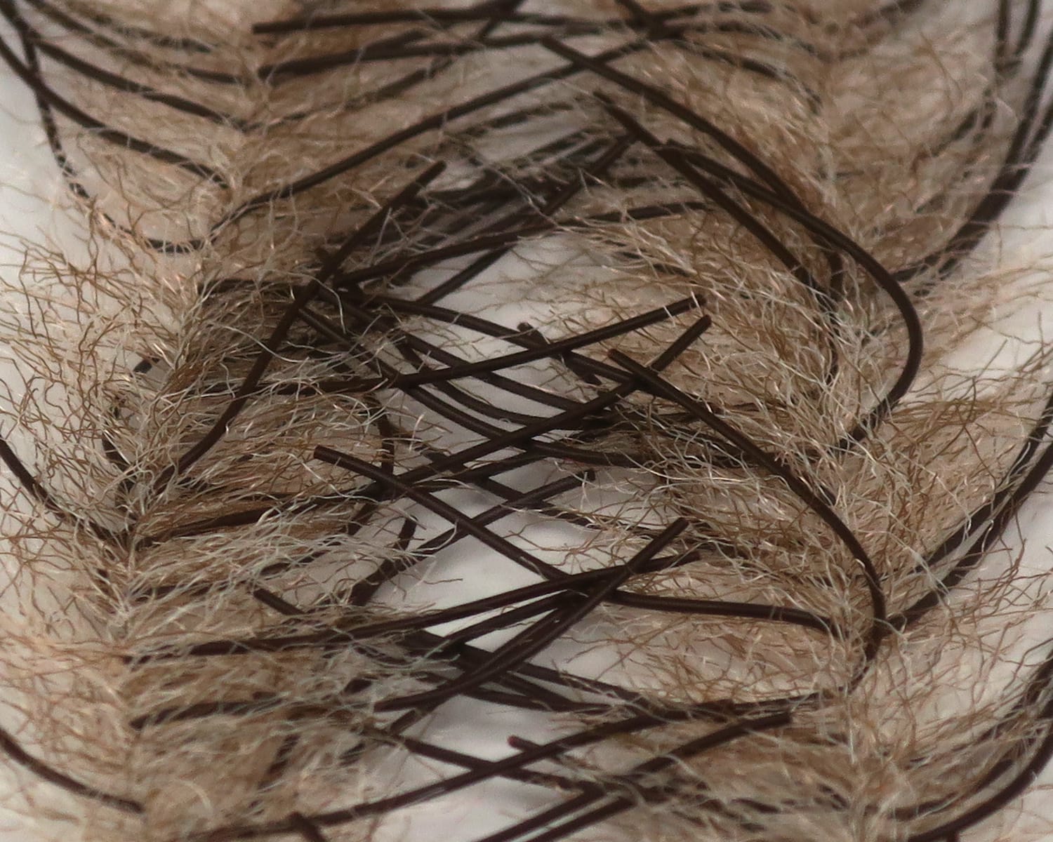 Tan and brown synthetic crustacean brush with fuzzy beige fibers and thin dark brown rubber legs for fly tying