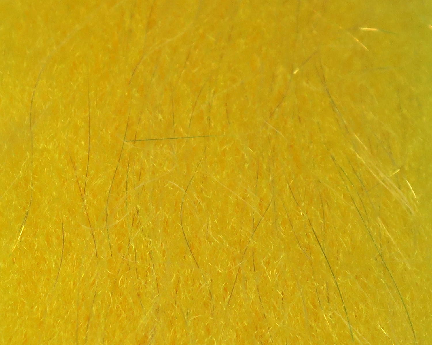 Bright yellow sculpting flash fibre for fly tying with fine iridescent and green-tinted synthetic strands