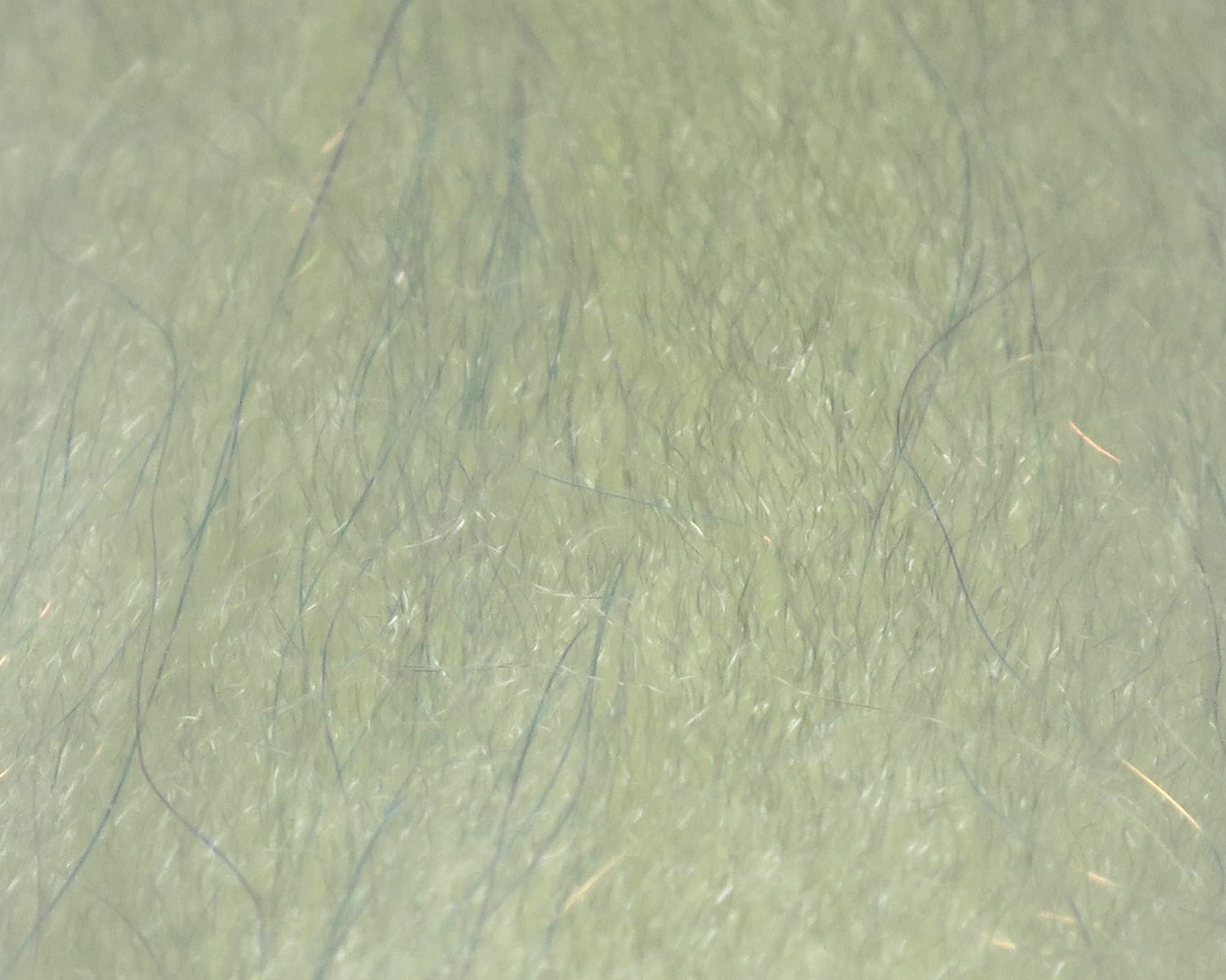 Pale olive-green sculpting flash fibre with fine blue and gold iridescent strands, soft synthetic fly tying material