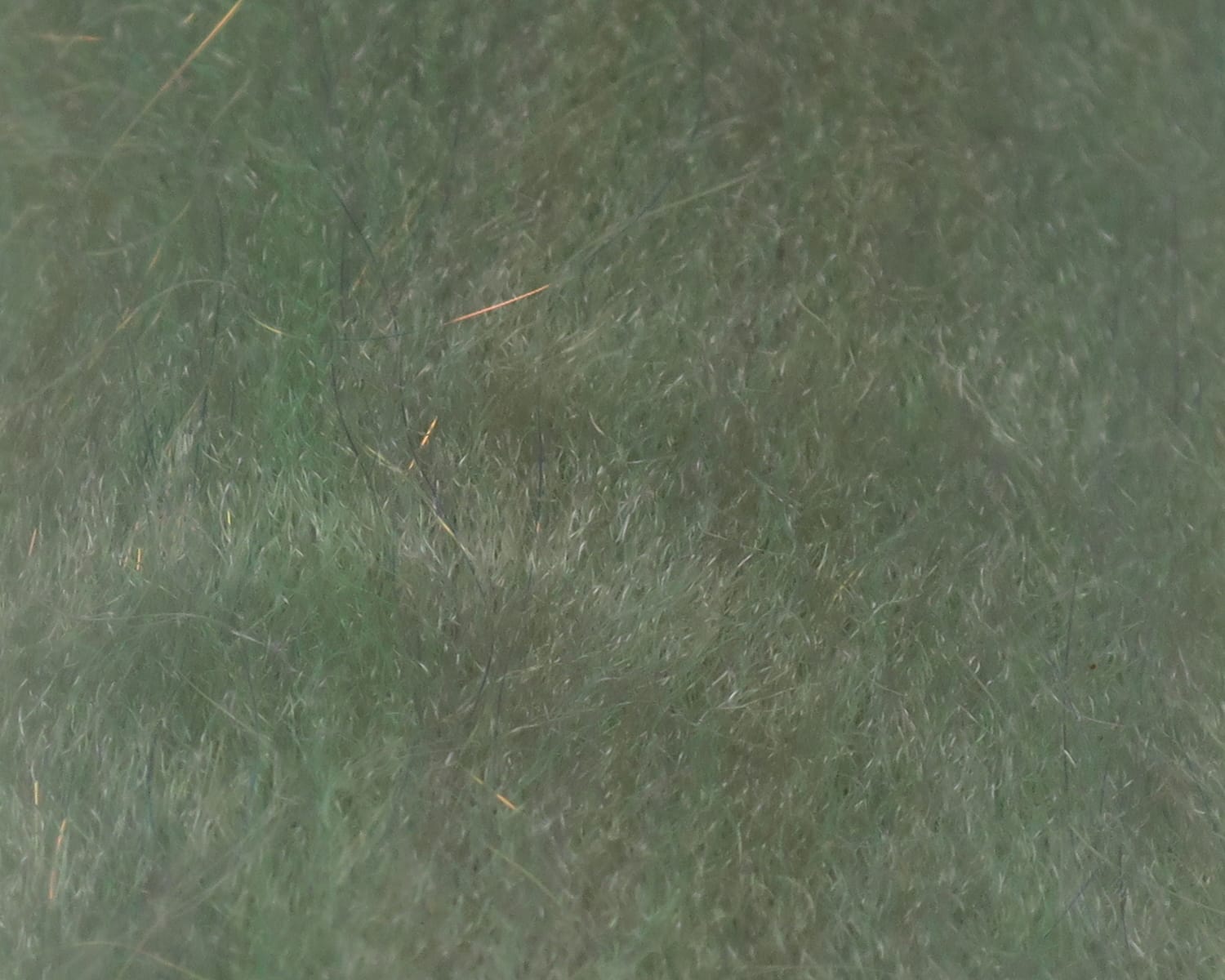 Olive green sculpting flash fibre with fine wispy synthetic strands and subtle gold reflective flashes for fly tying