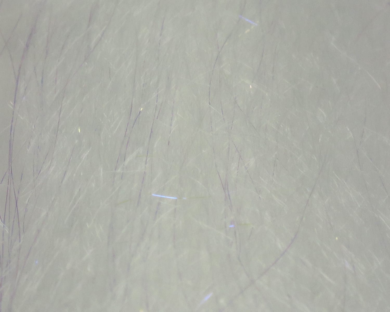 White translucent synthetic fly tying fibers with fine lavender strands and scattered iridescent UV flash fibers