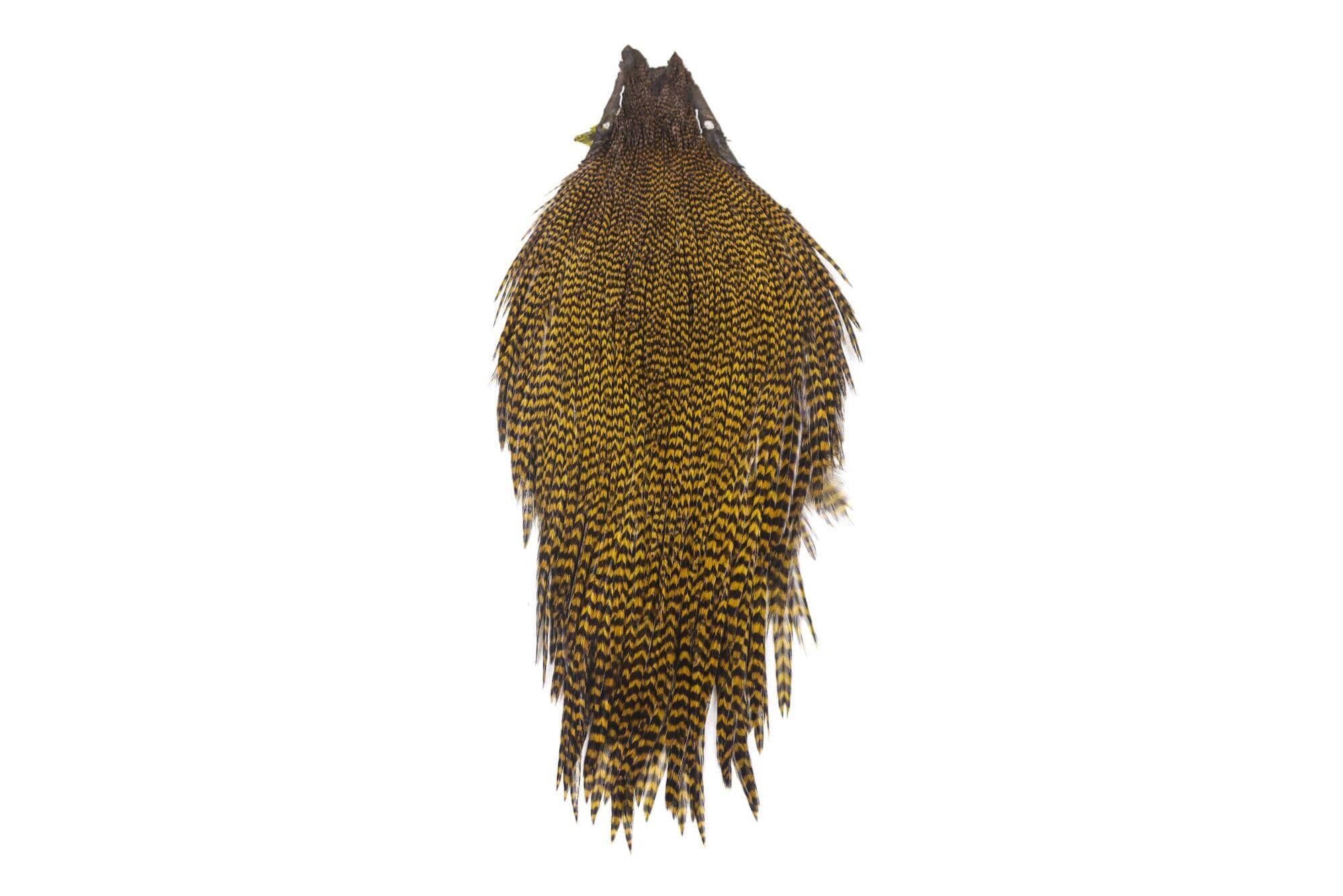 Keough Tyers Grade Cape