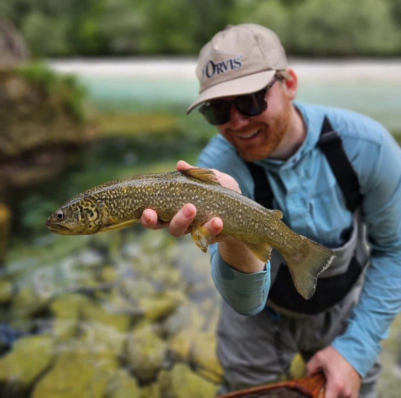 Marble Trout