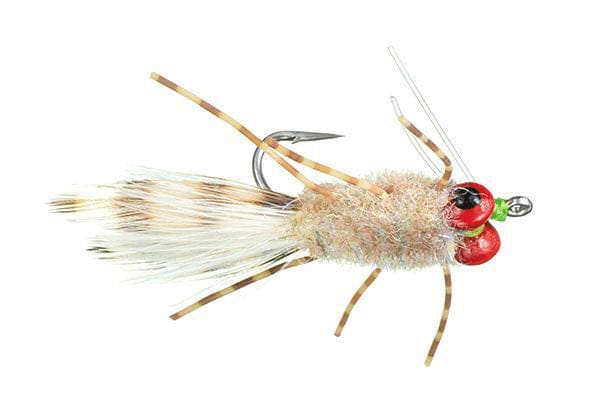 Crab Rangoon Fly