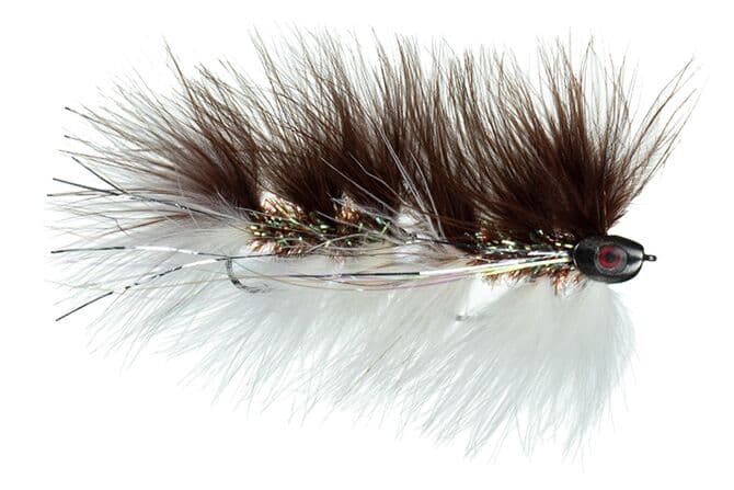 Galloup's Barely Legal Fly (Fish-Skull Head)