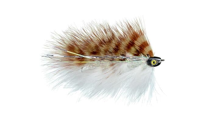 Galloup's Barely Legal Fly (Fish-Skull Head)