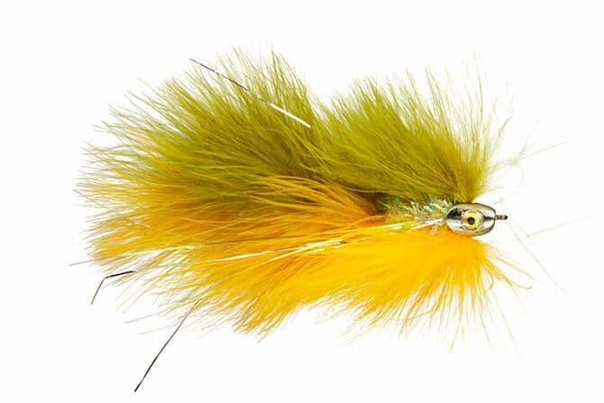 Galloup's Barely Legal Fly (Fish-Skull Head)