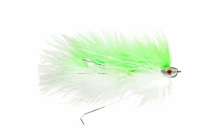 Galloup's Barely Legal Fly (Fish-Skull Head)