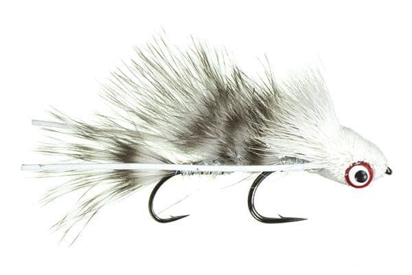 Galloup's Barred Micro Dungeon Fly