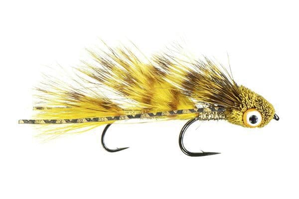 Galloup's Barred Micro Dungeon Fly