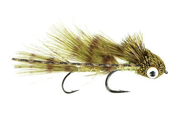 Galloup's Barred Micro Dungeon Fly