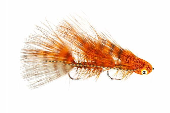 Galloup's Barred Mini Sex Dungeon Fly