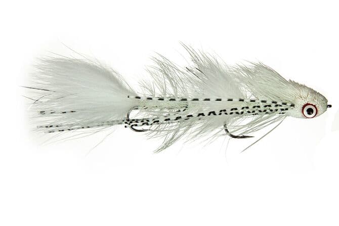 Galloup's Sex Dungeon Fly
