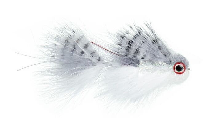 Galloup's T & A Bunker Fly