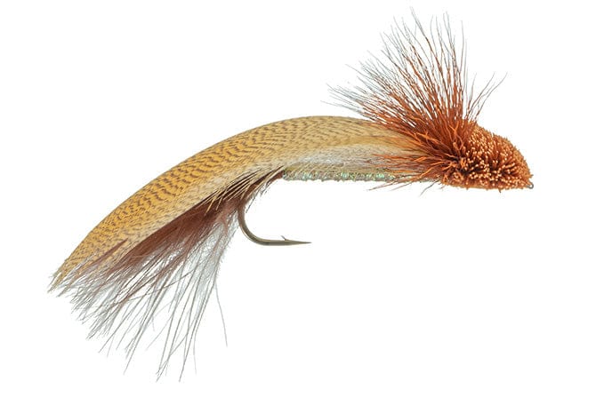 Galloup's Zoo Cougar Fly