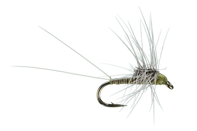 Quill Stacker Fly