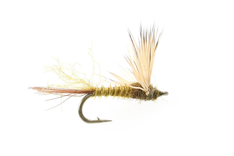 Blue-winged olive Sparkle Dun dry fly — fall BWO pattern for the South Platte