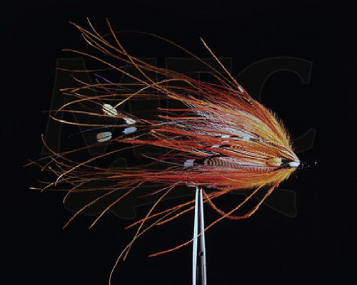 Vokey's Gluttonous Leech Fly