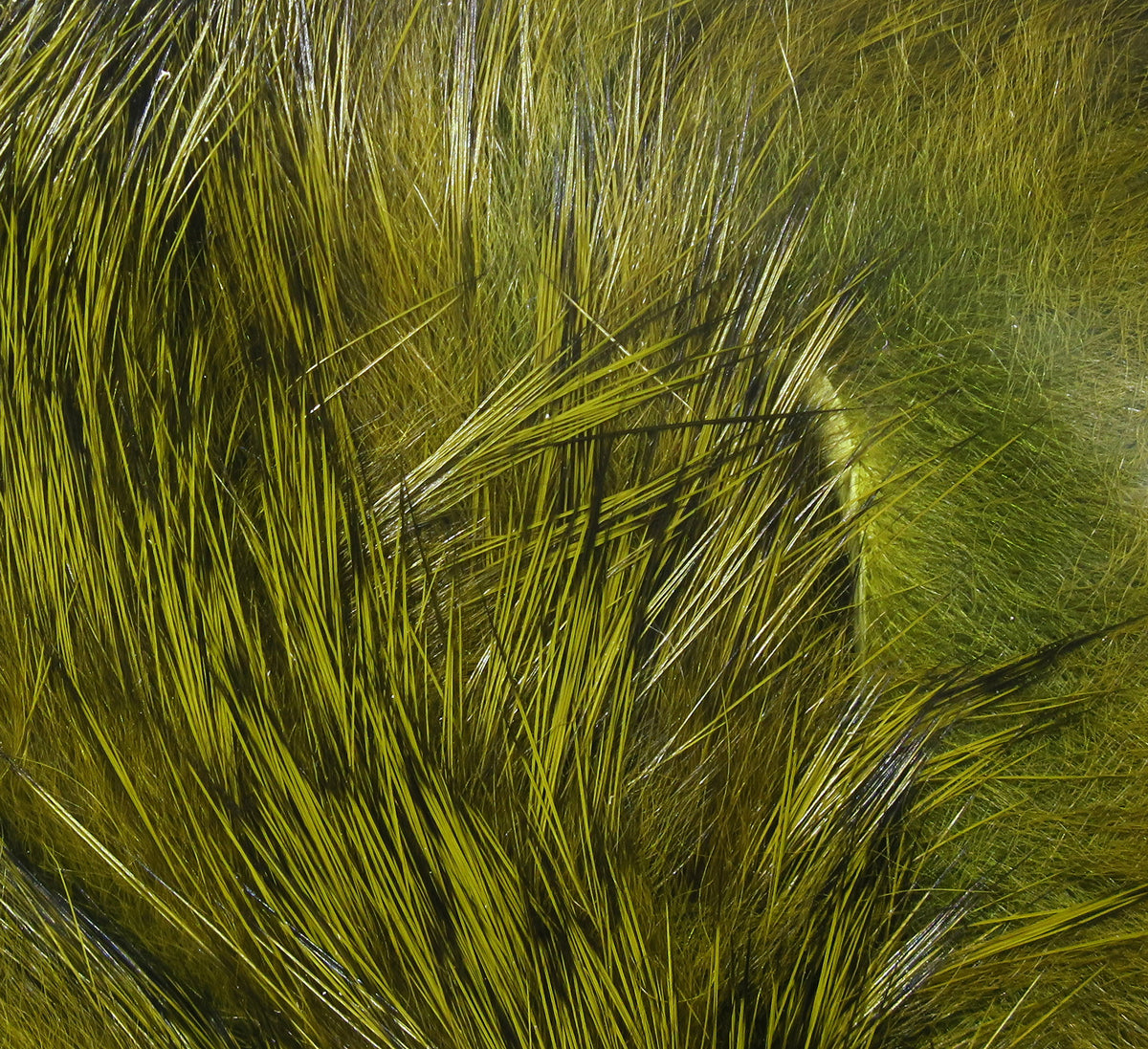 Hareline Magnum Rabbit Fur Strips
