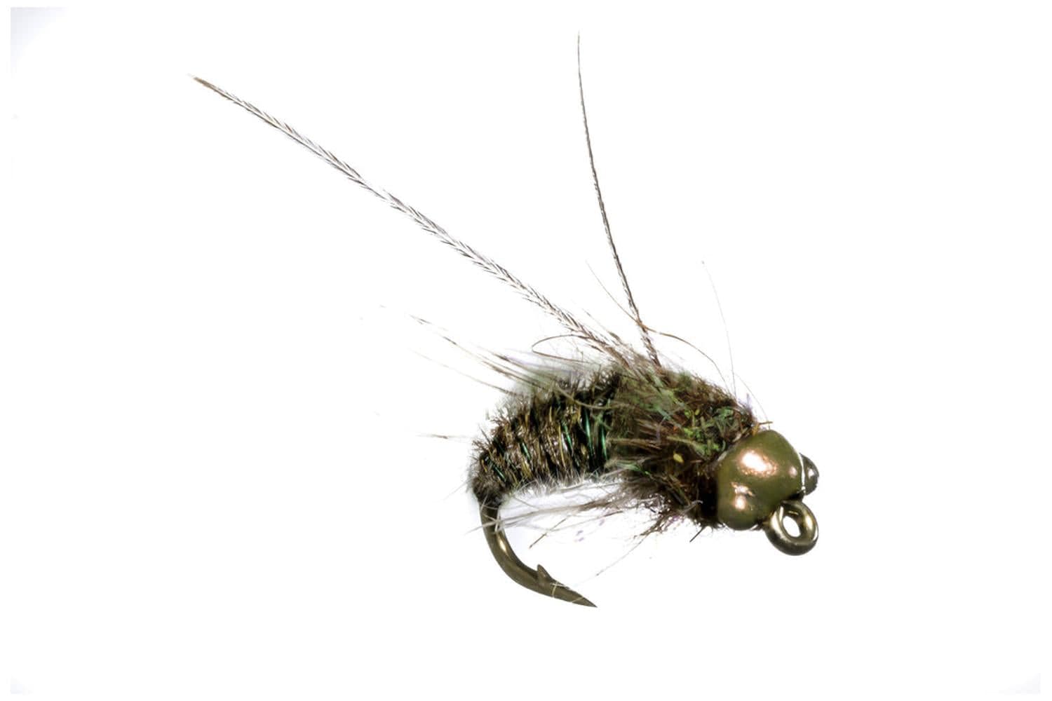 Nymph-Head Evolution Caddis Pupa Fly