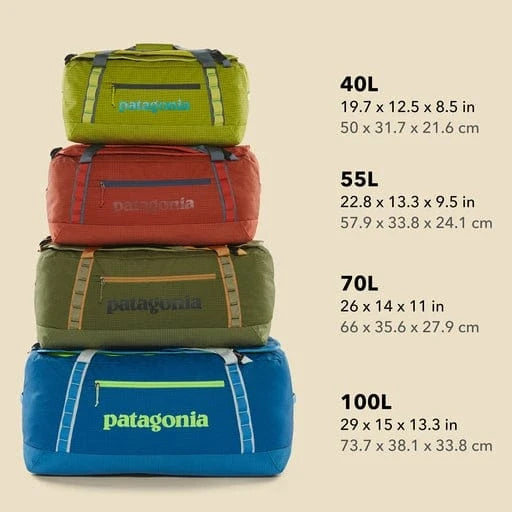 Patagonia Black Hole Duffel Bag (Past Season Style)