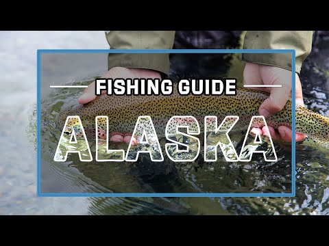 Aleutian Adventures - Sapsuk Camp