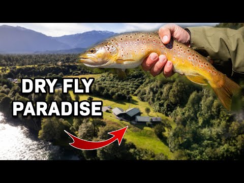 Product video from Trident Fly Fishing