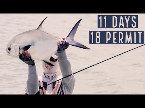 Product video from Trident Fly Fishing